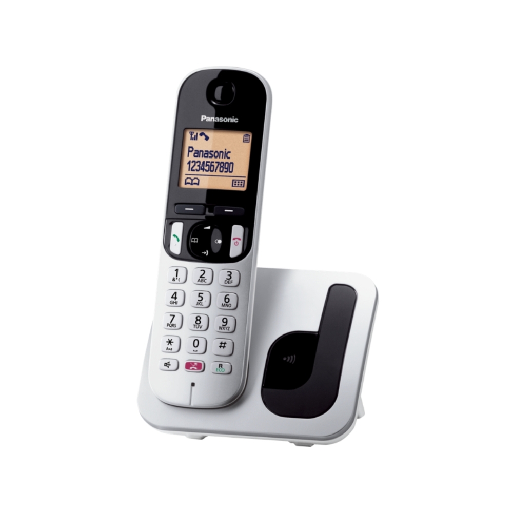 PANASONIC KX-TGC250JTS CORDLESS con Vivavoce